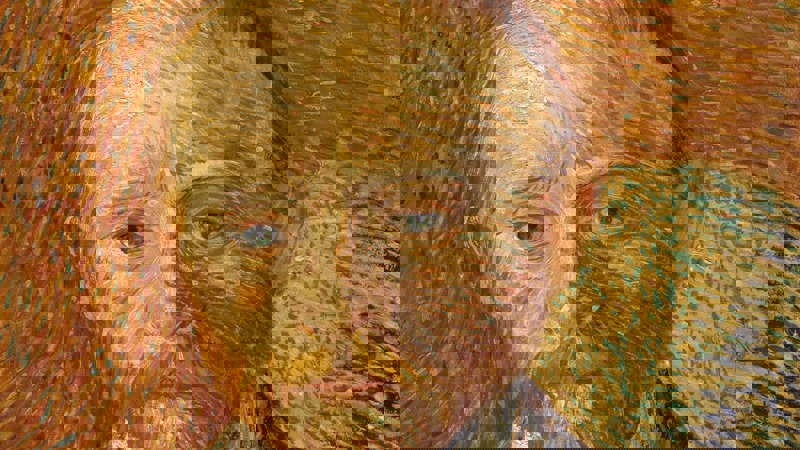 "Alexander Reid" by Vincent van Gogh. The painting shows a man with red hair, wearing period clothing. 