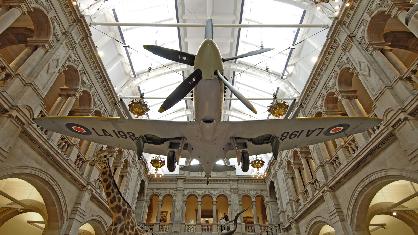 Spitfire LA198 hangs from the ceiling at Kelvingrove Art Gallery