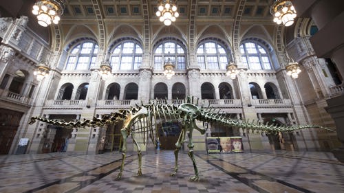 Dippy the Dinosaur