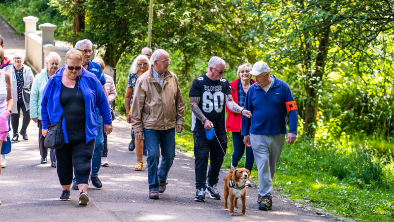 A group of adults walking in a park on a sunny day.